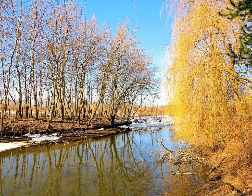 Речные берега - Андрей Снегерёв