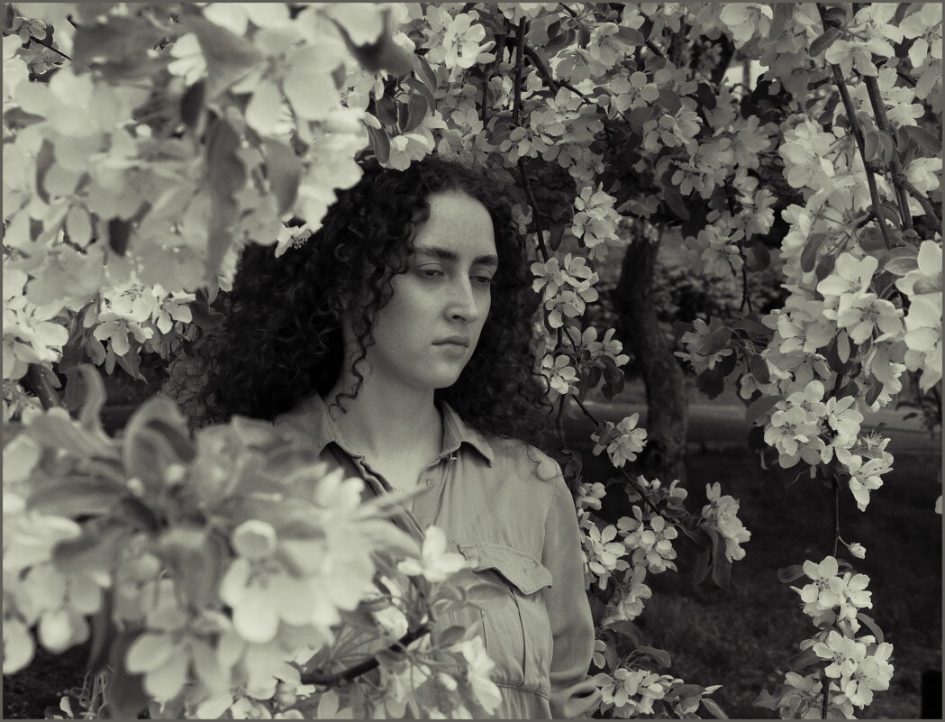 Цветы - Алексей Хвастунов