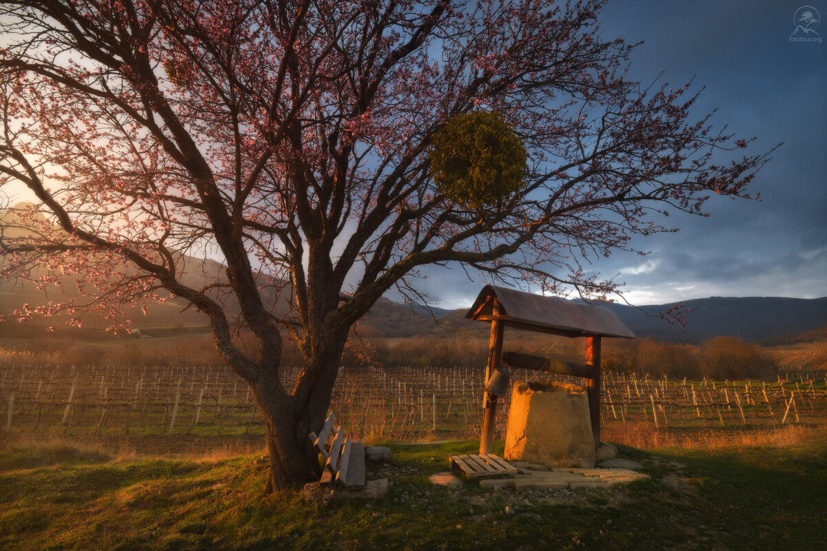 Старый колодец - Анатолий Гордиенко