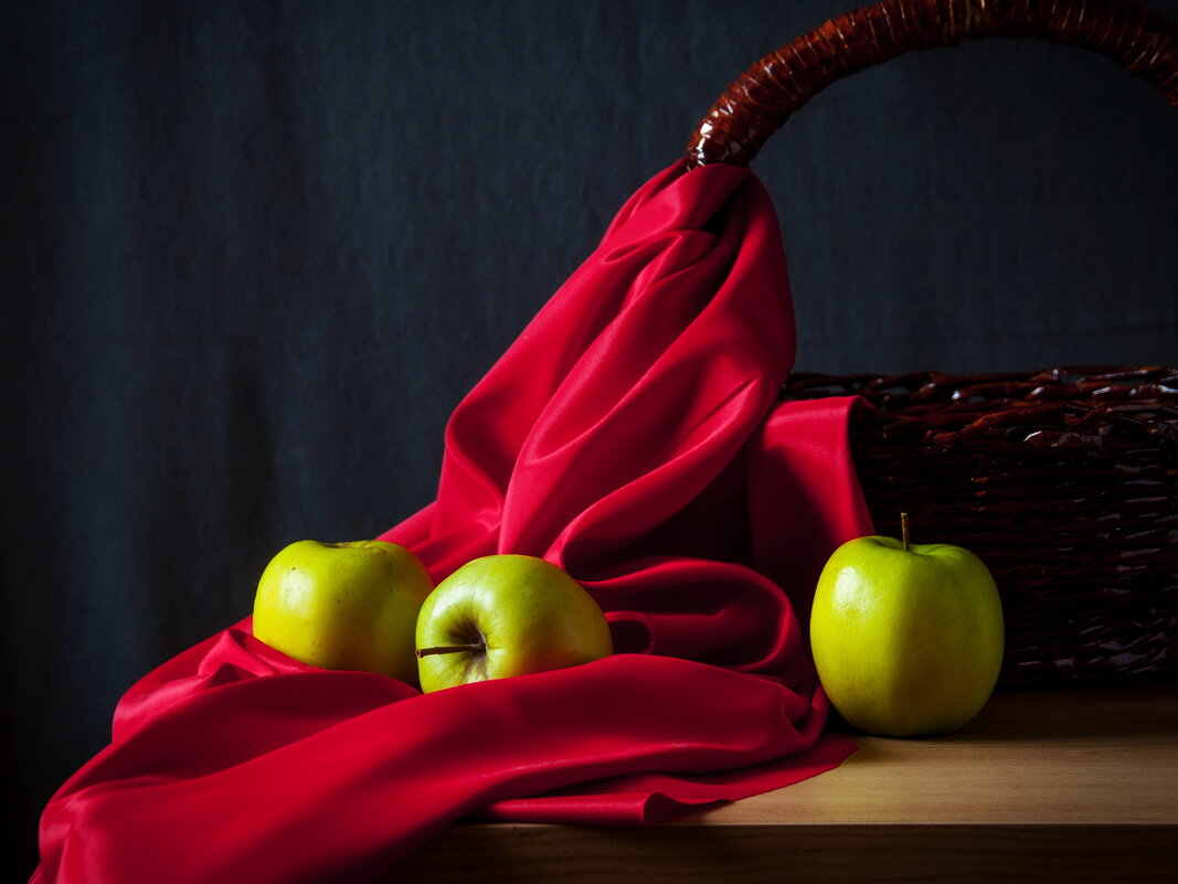 ... - Елена Пономарева