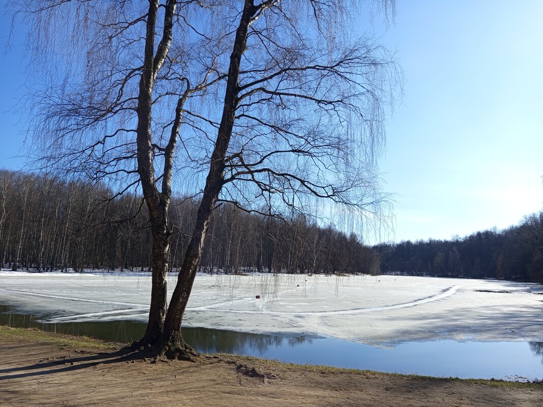 Хорош был март! - Андрей Лукьянов