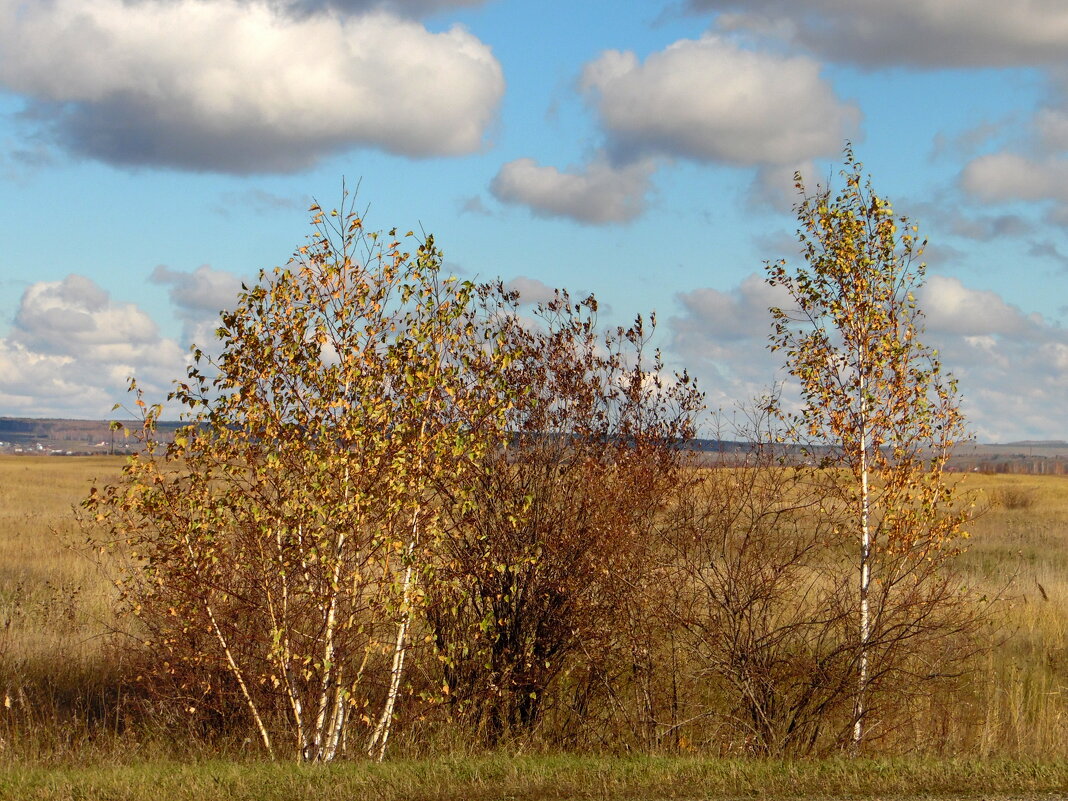 И снова-осень ! - nadyasilyuk Вознюк