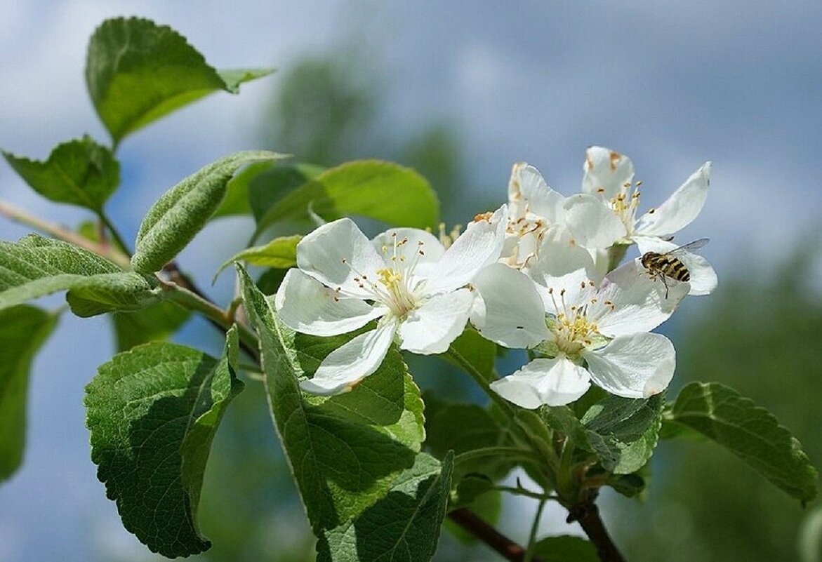 В ожидании весны... - Галина Нестратова