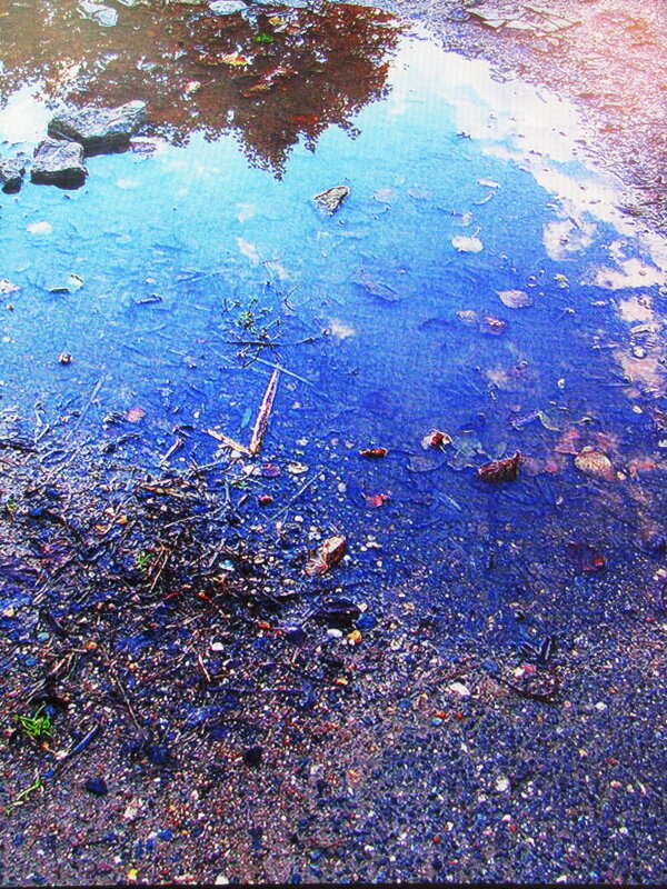 Отражение в луже - Людмила Смородинская Отражение в луже - Людмила Смородинская