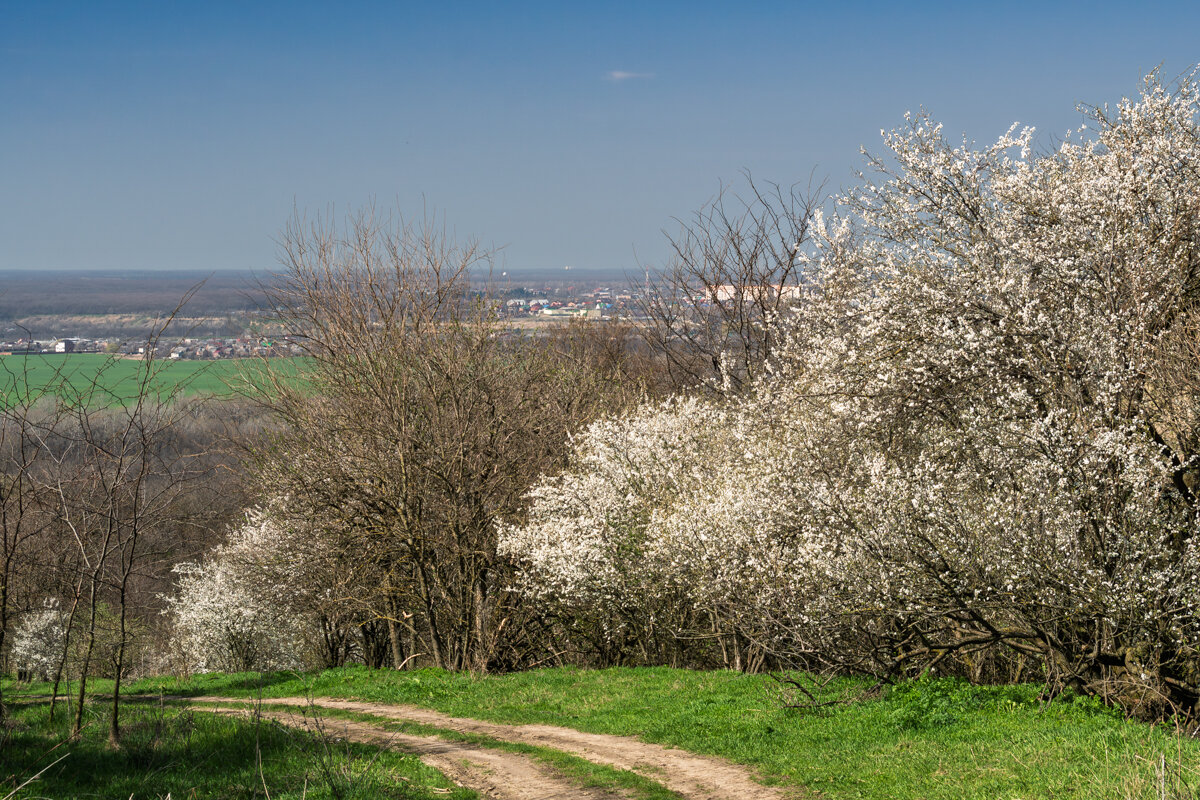 Весна набирает ход - Игорь Сикорский