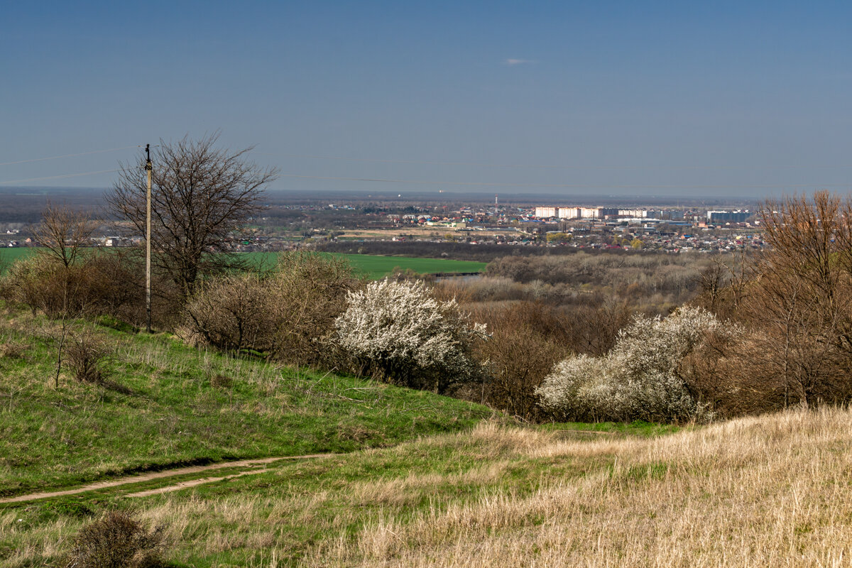 Весна набирает ход - Игорь Сикорский