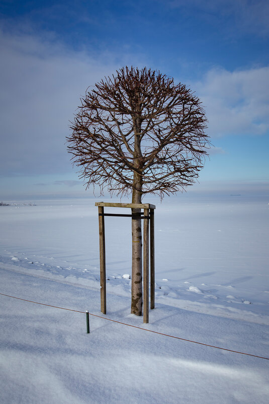 Залив. - Svyatoslav [Artisan] Ph.