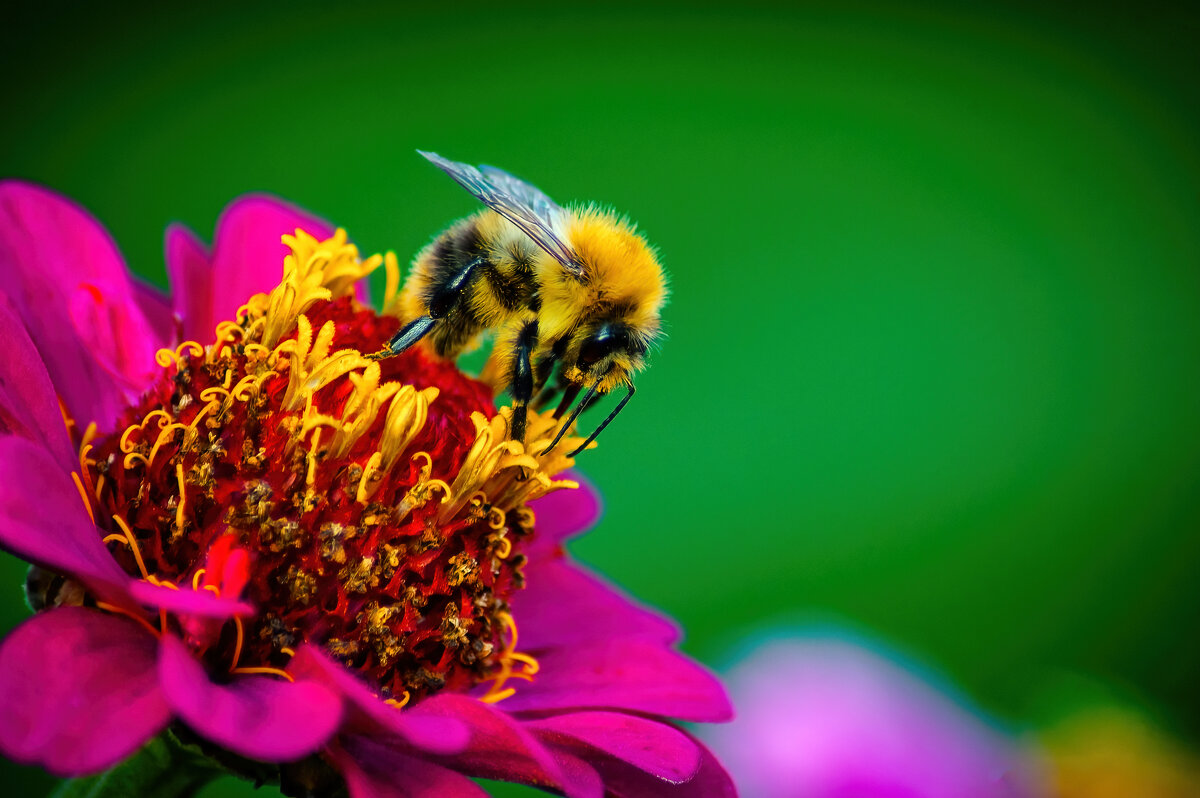 *   *   * - Уже не важно ...