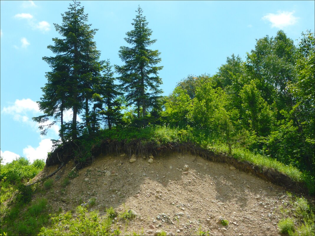 Адыгея! - Надежда Адыгея! - Надежда