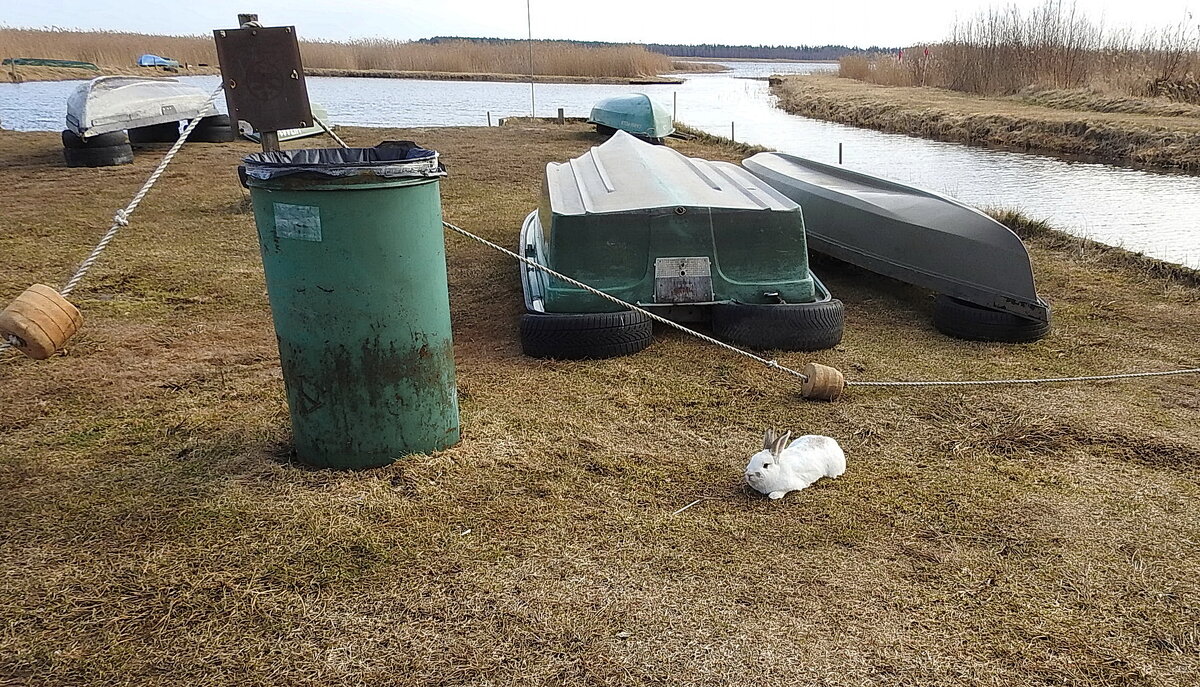 ****** - ИННА ПОРОХОВА