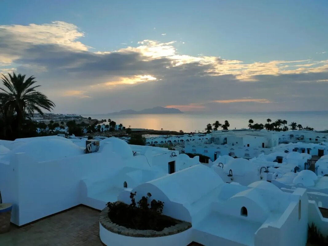 Египет. Шарм-эль-Шейх - Ирэн 