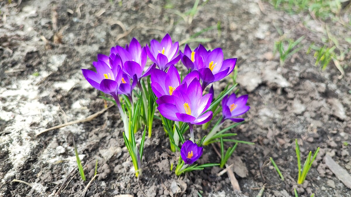 ,,, - Сергей Тимоновский