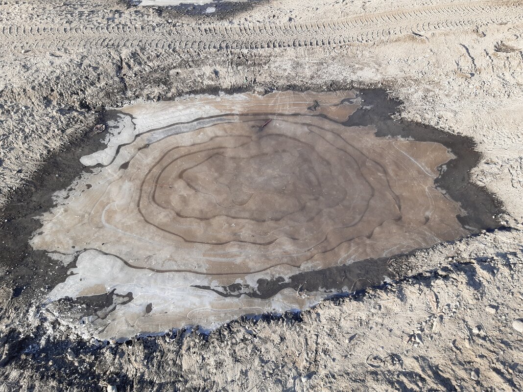 Дела весенние - Галина Минчук