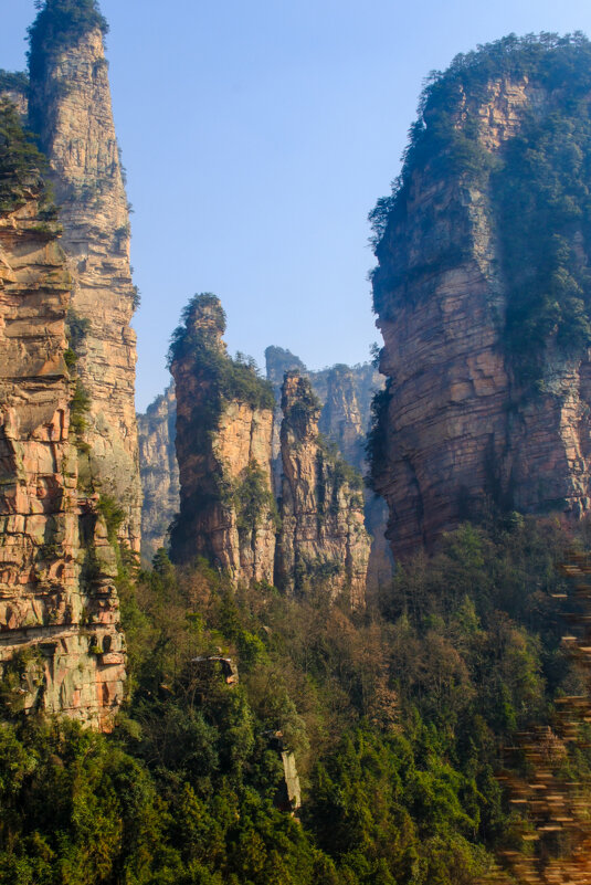 Столбы в парке Аватар - Георгий А