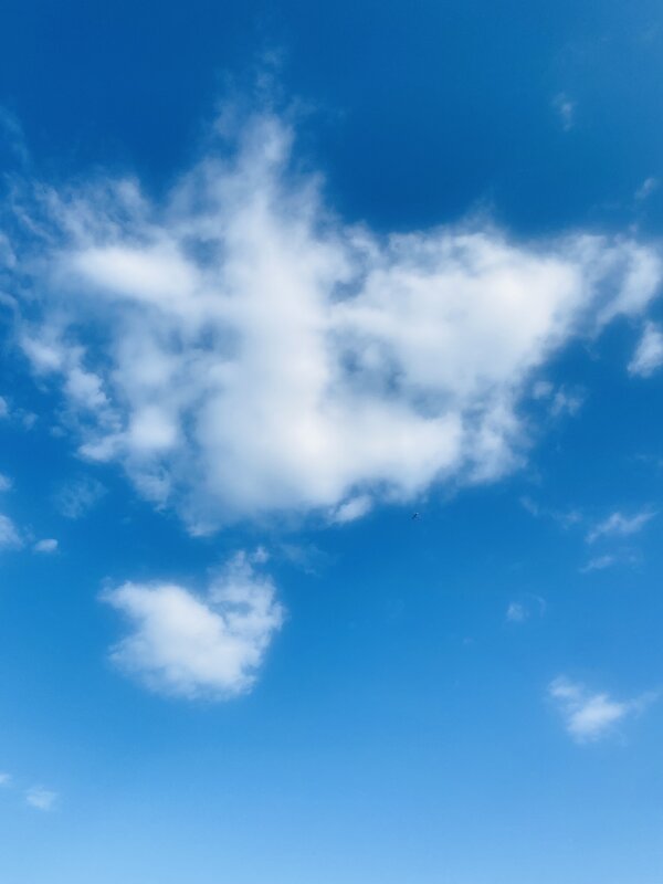 стрела Амура - Вера Солнцевна