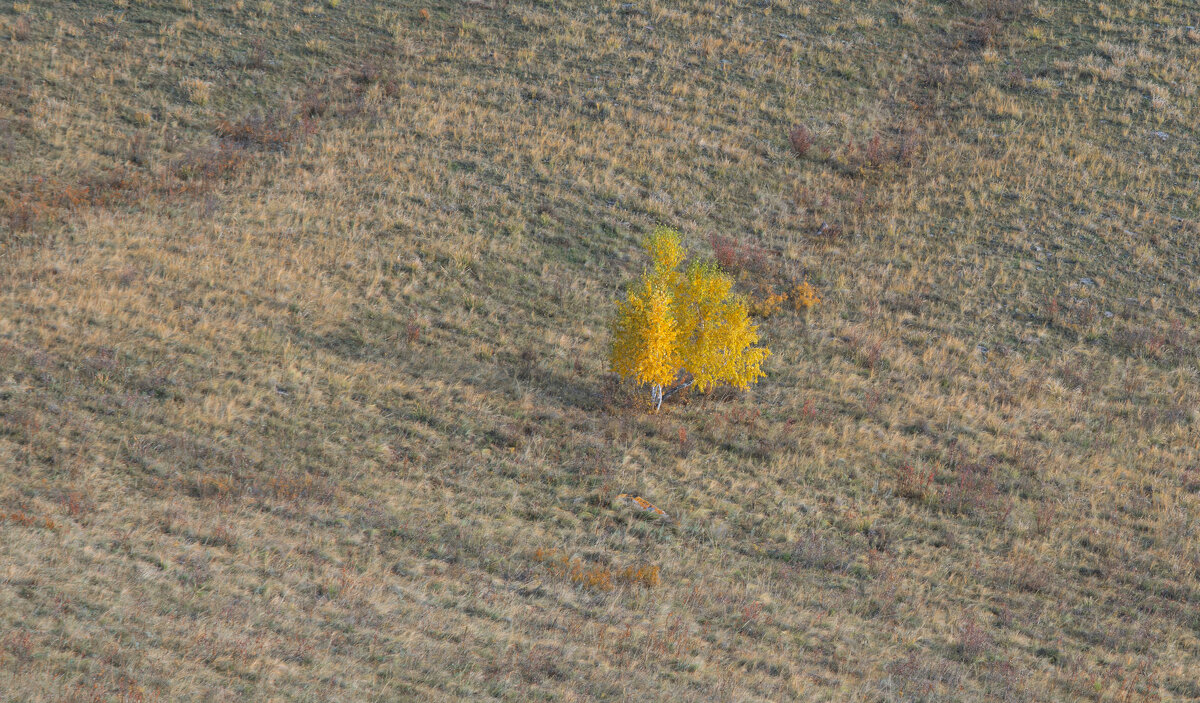 Осеннее одиночество - Сергей Герасимов