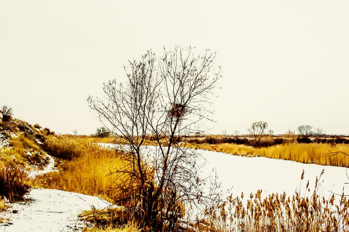 ГНЕЗДО - HART BAD