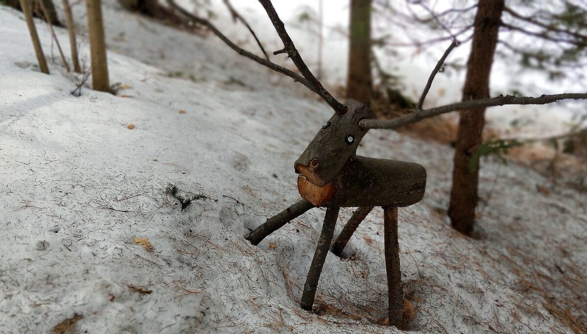 Лось - Радмир Арсеньев