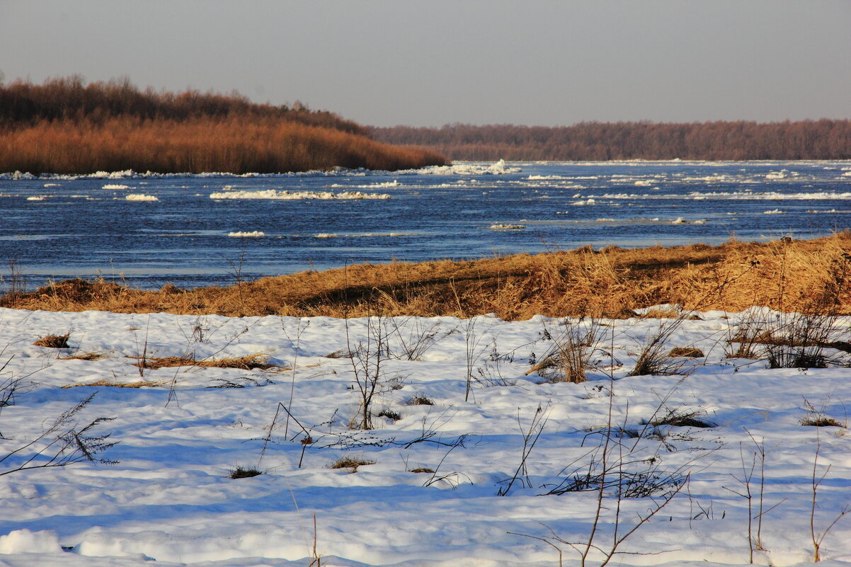 Лёд тронулся - Евгений Корьевщиков
