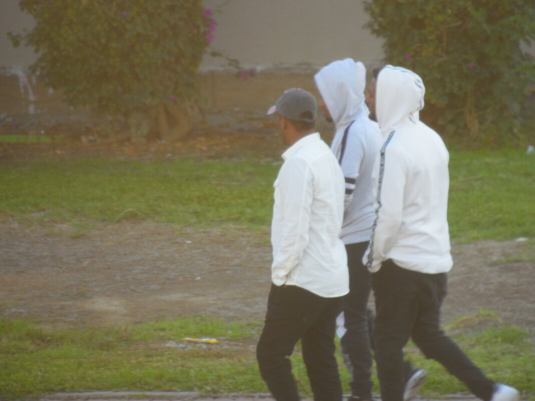 115 (242) - CLOSE WAYS ALL