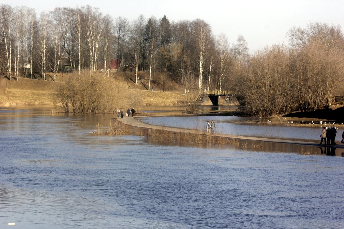 Весенний день - Сергей Кочнев