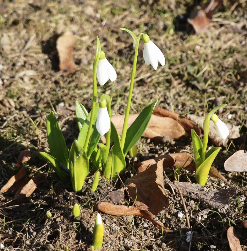 Всё про март - Наталья Герасимова