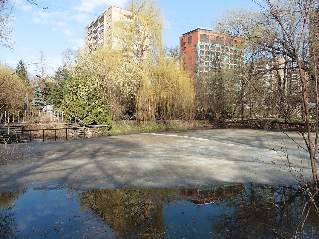Старинный пруд в Аптекарском огороде - Лидия Бусурина