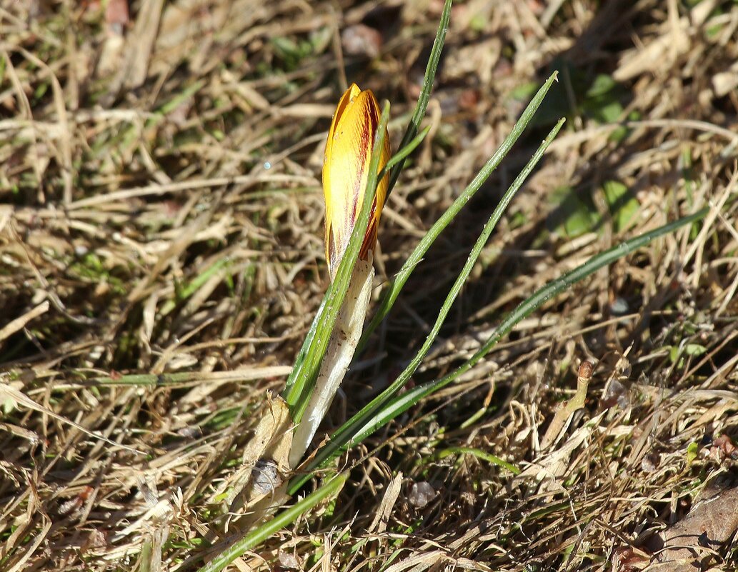 Всё про март - Наталья Герасимова Всё про март - Наталья Герасимова