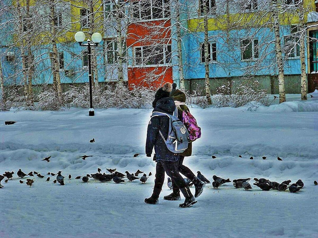 В школу...среди голубей и воробьев! - Владимир 