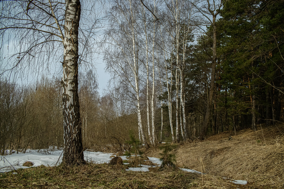 Конец марта. - Николай 