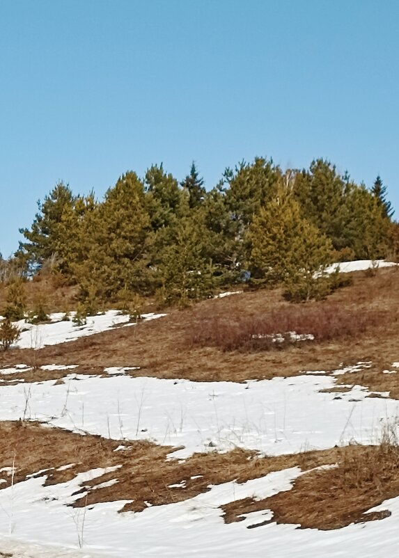 *** - Светлана Кузнецова