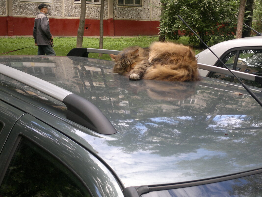 Моё - Валерий Пославский