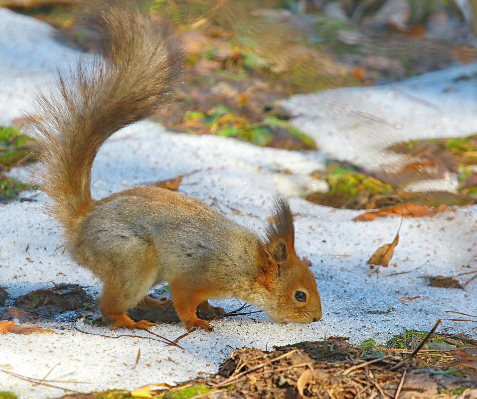 жажда... - Andrey Bragin жажда... - Andrey Bragin