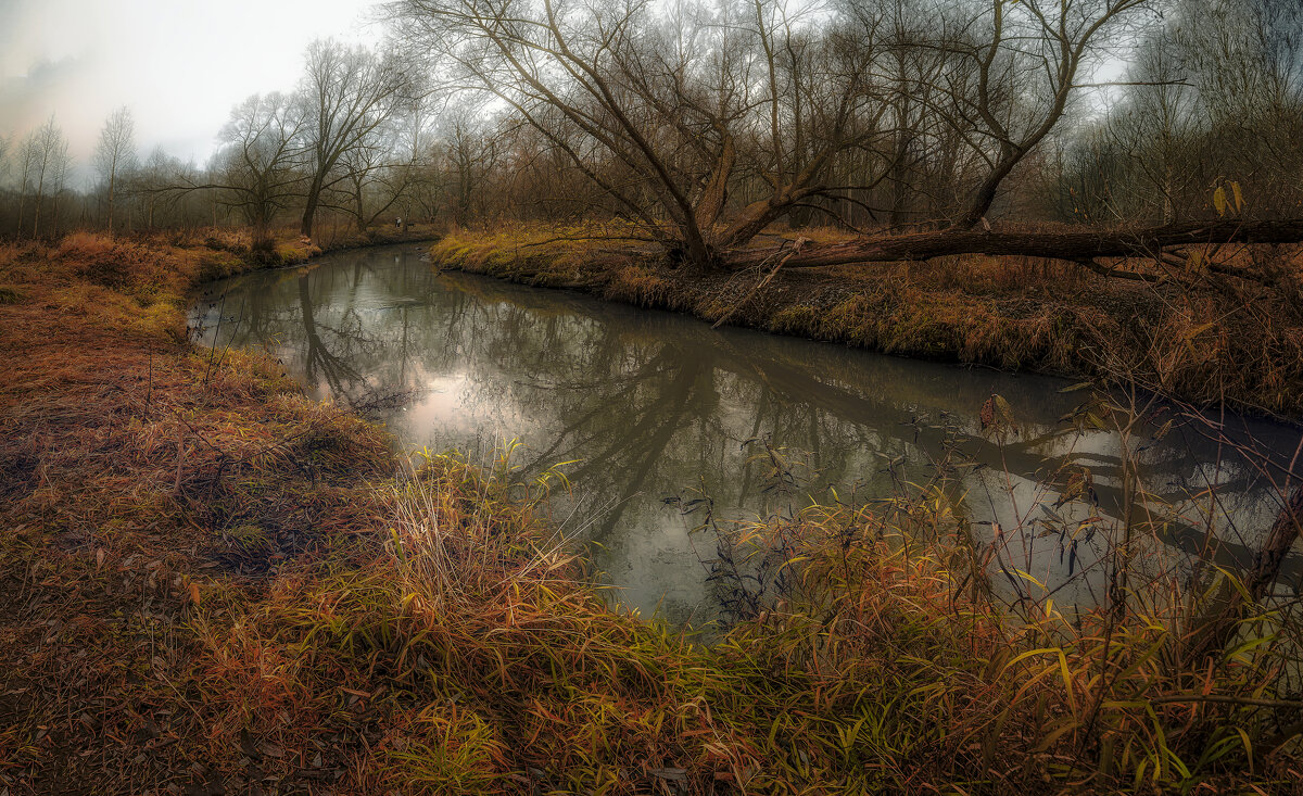 Две дамы с собачкой осенью в парке. - Владимир Владимир Две дамы с собачкой осенью в парке. - Владимир Владимир