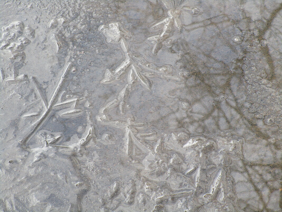 март - Елена Шаламова