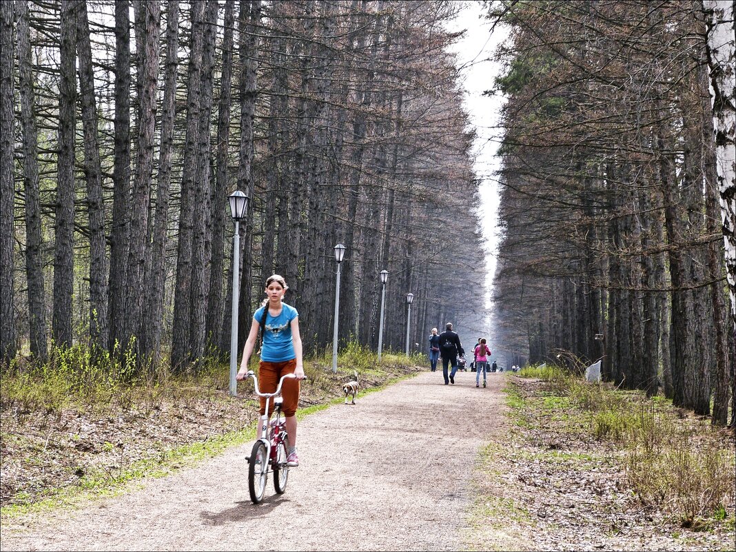 Все на велосипеды! - Валентина * Все на велосипеды! - Валентина *