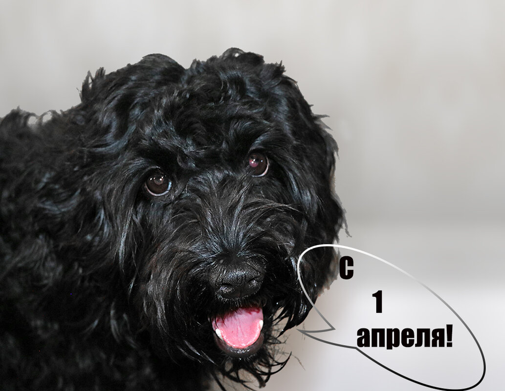 С первым апреля! - Светлана С первым апреля! - Светлана