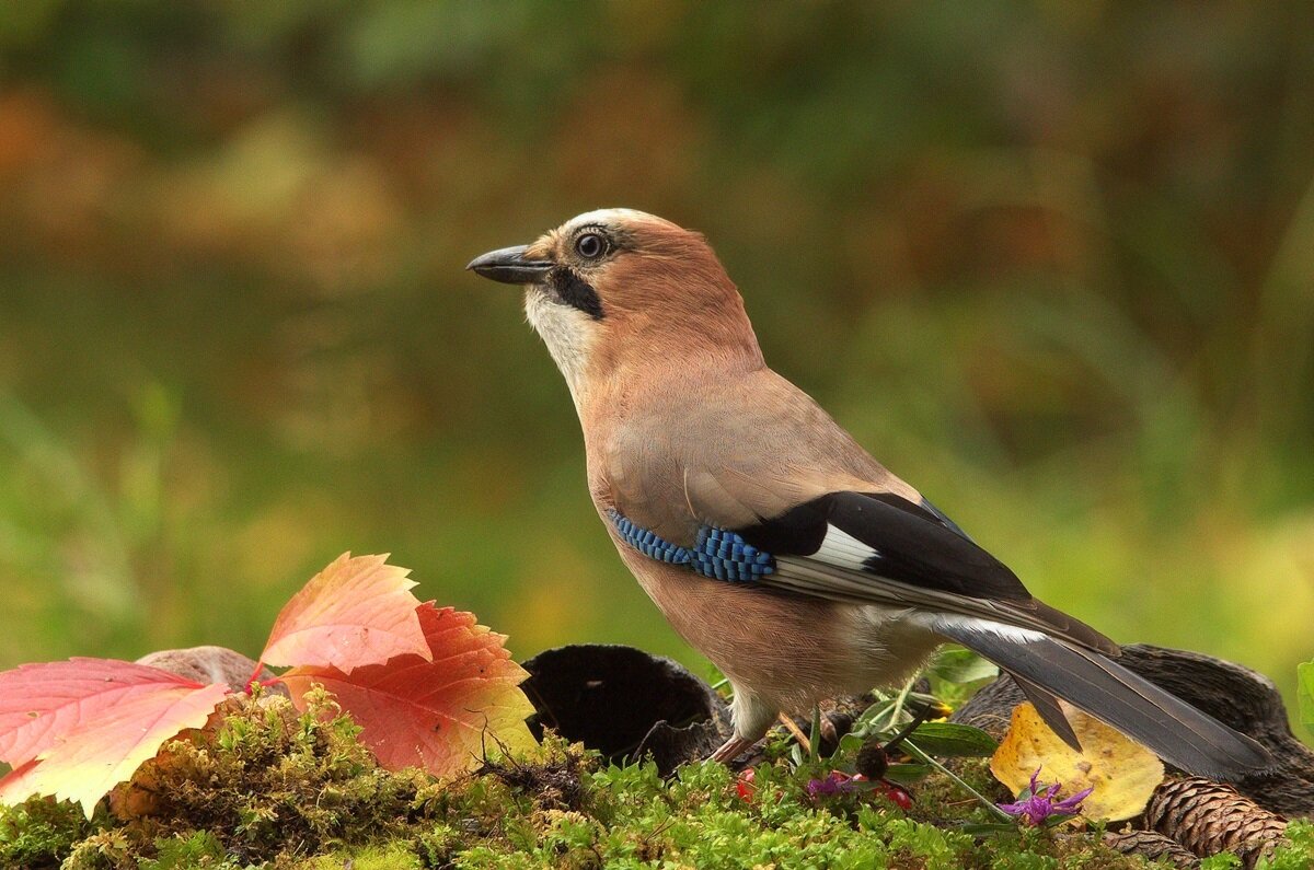 ... - Вячеслав Минаев
