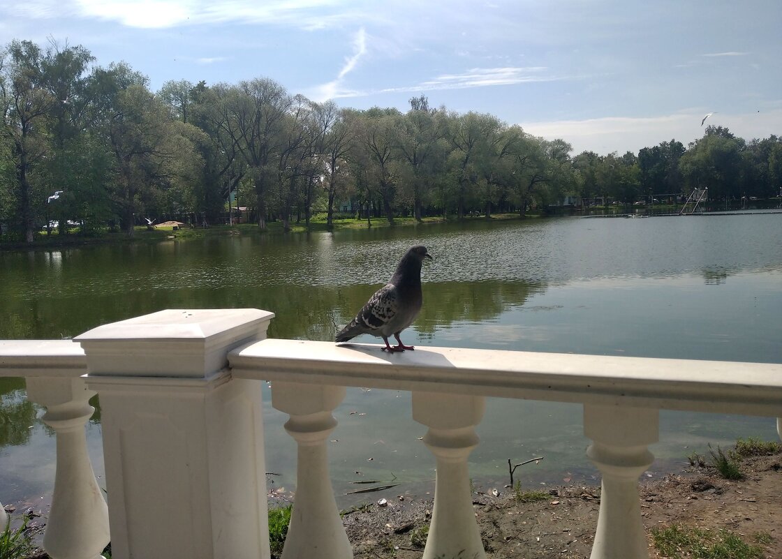 Это было летом.. - Елена Семигина