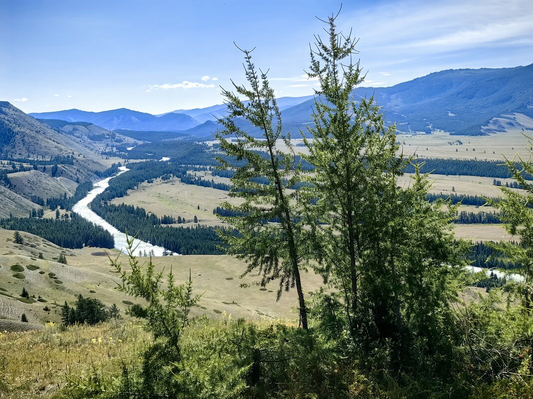 Река Аргут - Галина Козлова 