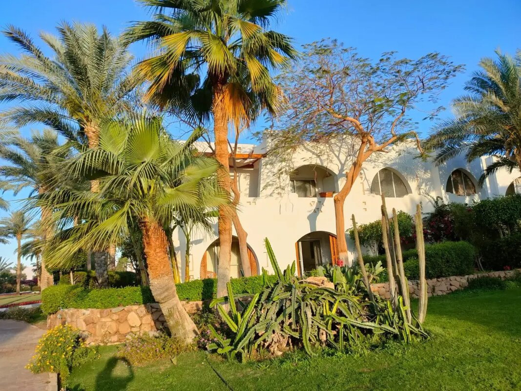 Египет. Шарм-эль-Шейх - Ирэн 