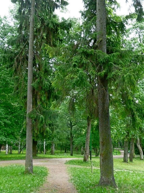 ОХОТНИЧИЙ ДОМИК. окрестности. - Виктор Осипчук