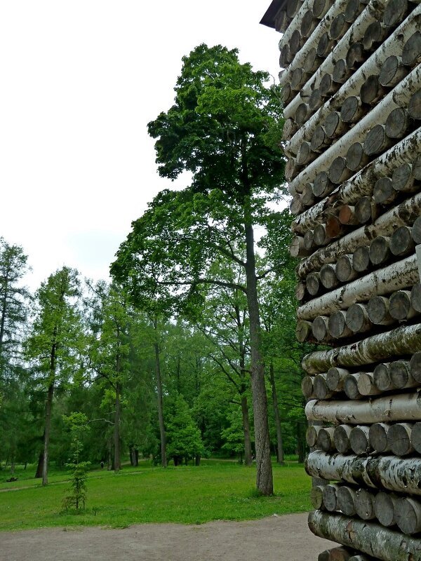 ОХОТНИЧИЙ ДОМИК. - Виктор Осипчук