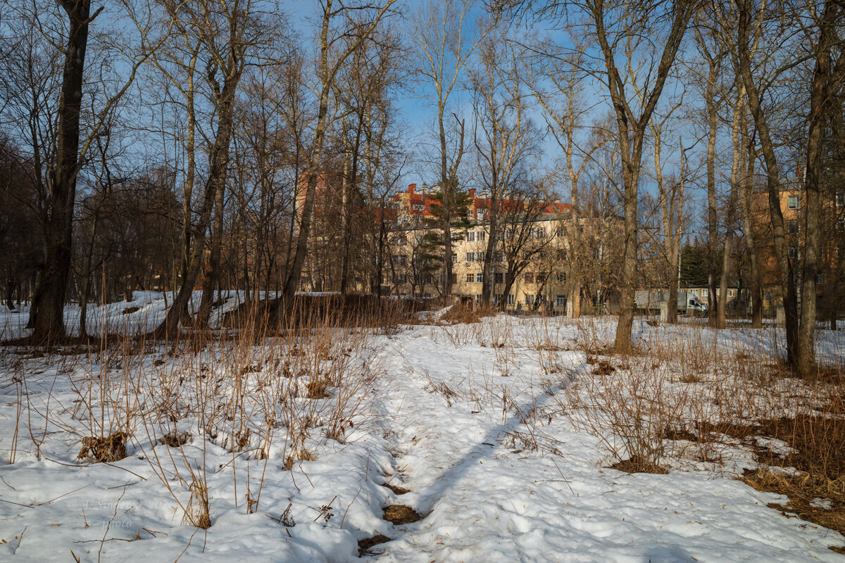 Весна в городе - Александр Синдерёв