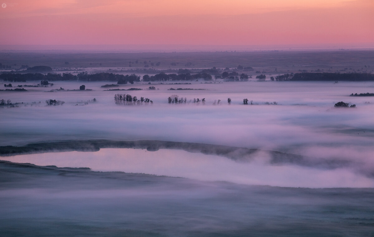 молочные реки - Сергей Попрошаев
