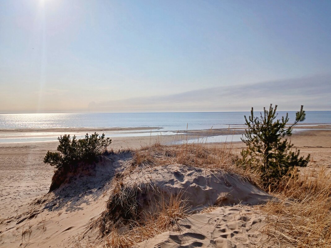 Луч солнца золотого... - Лия ☼