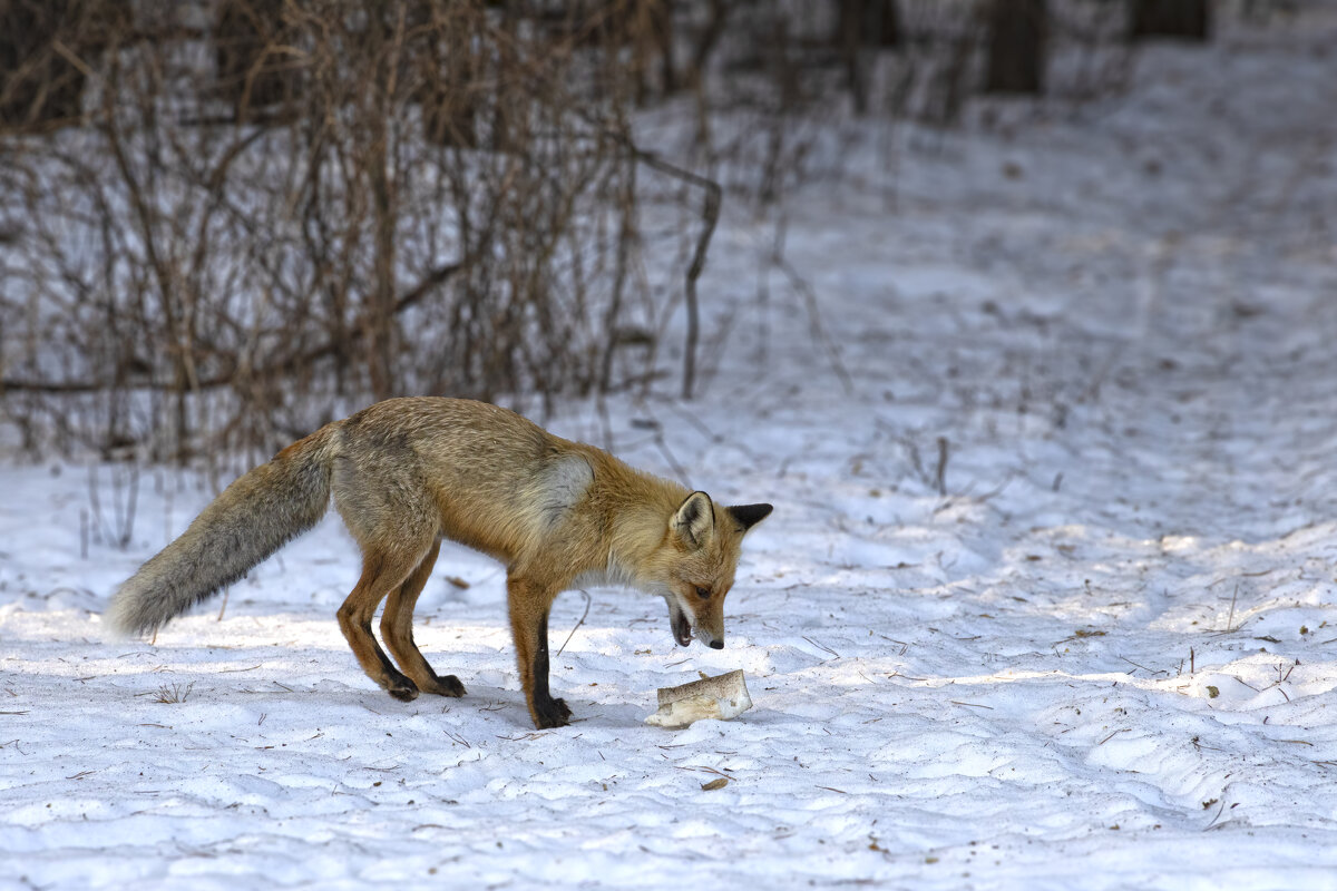 ... - Валерий 