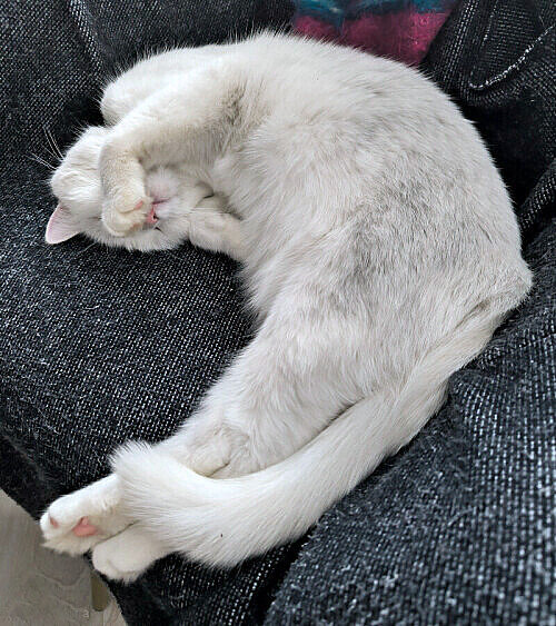 - Не снимайте, я стесняюсь... - Елена 