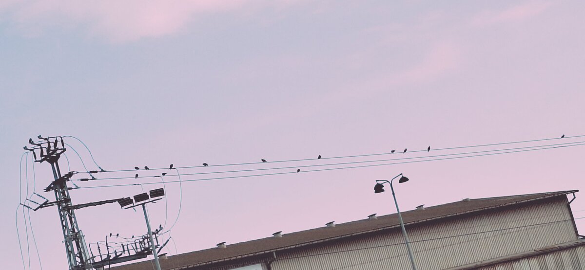 14  КЛОС (73) - СТРЕН 