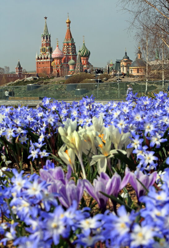 1 апреля в Зарядье - Михаил Бибичков
